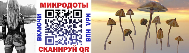 Купить закладки  Советская Гавань  Галлюциногенные грибы Psilocybine cubensis 